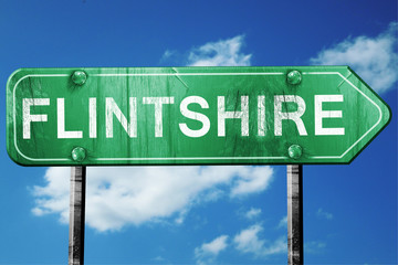 Flintshire, 3D rendering, a vintage green direction sign