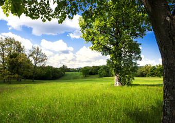 spring season at countryside