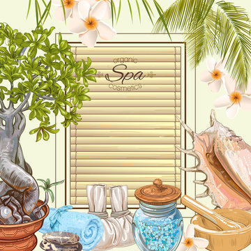 Tropic style spa treatment colorful frame with bonsai plant,shell, frangipani and stones.Design for cosmetics, store,spa and beauty salon,natural and organic health care products.Vector illustration.