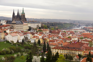 Fototapeta na wymiar View on the spring Prague City with gothic Castle, green Nature and flowering Trees, Czech Republic