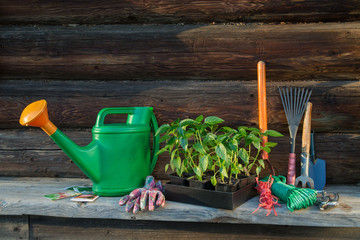 Gardening tools and equipment
