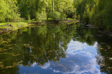 Старый пруд в парке. Отражение неба в воде. Пейзажи России.