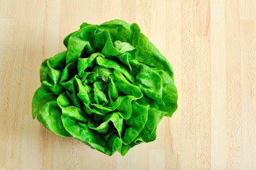 fresh green lettuce from above