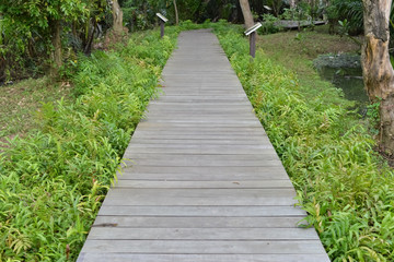 Obraz premium Wooden foot bridge