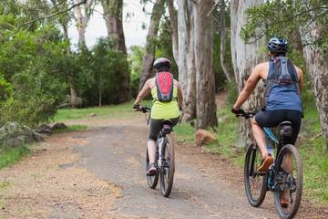 Rear view of bikers riding on footpath