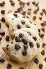 chocolate chip cookie