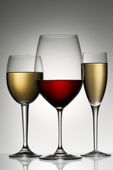 wine on vector image