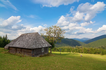 Fototapeta na wymiar Rural farm with old hut Bran, Carpatians