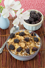overhead shot of cereal and blackberries