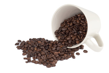 scattered coffee beans