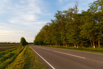 country road
