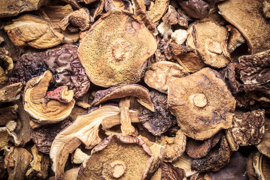 Dry mushrooms as food background