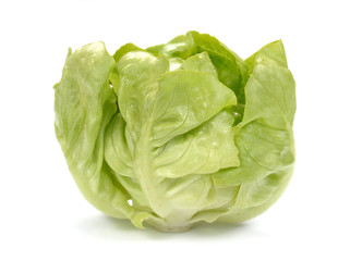 Obraz premium Fresh lettuce salad,Fresh vegetable salad on white background..