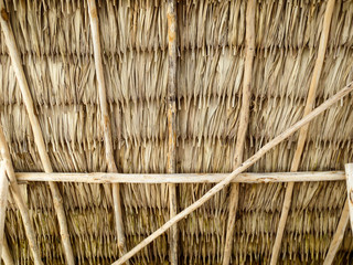 Inside of a roof in a tiki hut in Belize