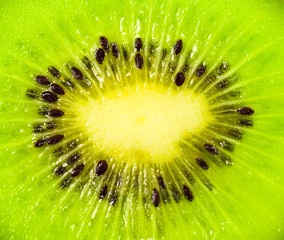 Kiwi,Slices of kiwi fruit, background