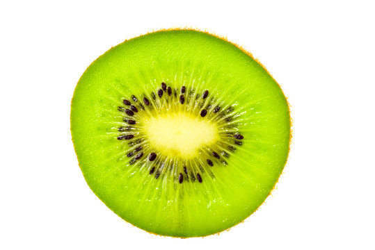 Kiwi,Slices of kiwi fruit on white background