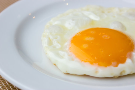 Close up Fried Egg