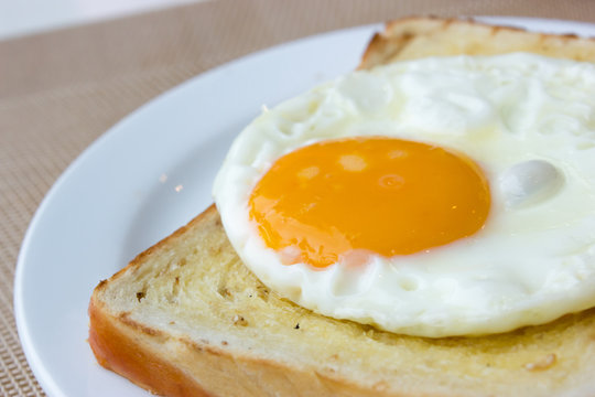 Fried Egg and Toast