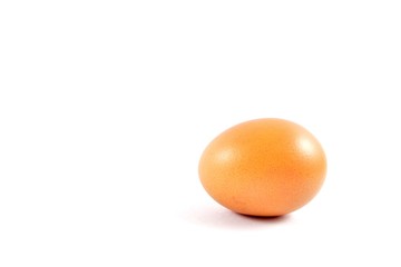 Brown egg on white background