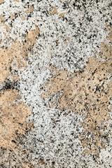old concrete wall.