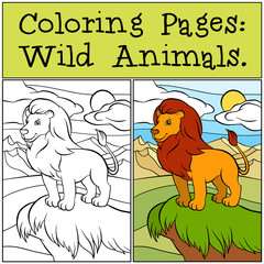 Coloring Pages: Wild Animals. Cute beautiful lion stands on the