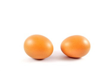 Brown egg on white background