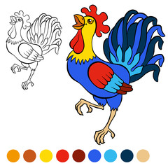 Cute beautiful rooster cries.