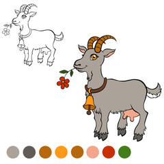 Coloring page. Color me: goat. Cute goat holds a flower in the m