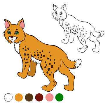Coloring page. Color me: lynx. Cute beautiful lynx stands and sm