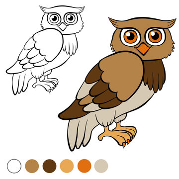 Coloring page. Color me: owl. Little cute owl.