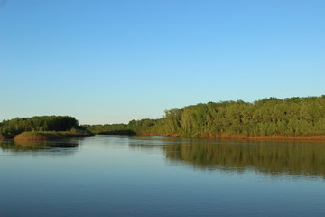 river on the background of green forest