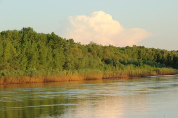 river on the background of green forest