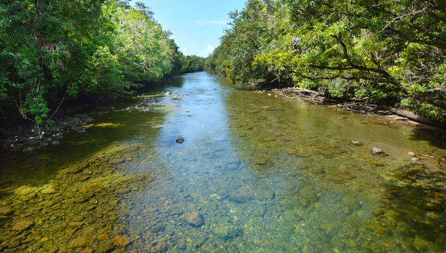 Landscape of a wild stream in Daintree National Park Queensland