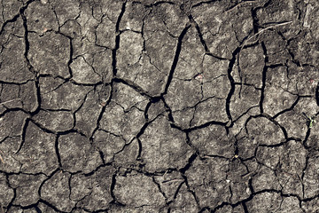 Cracked earth background. Dried earth texture.
