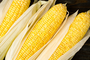 Fresh corn on wooden background