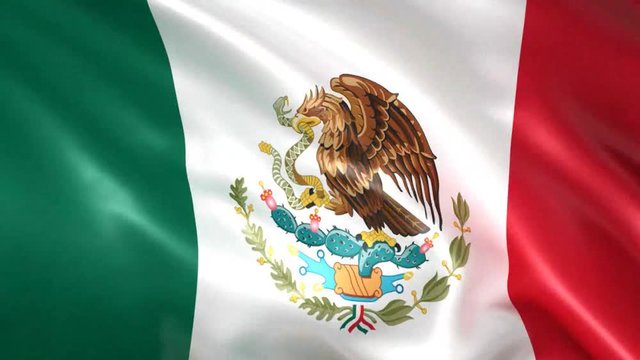 Mexican Flag