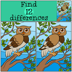 Naklejka premium Children games: Find differences. Little cute owl sits on the tr