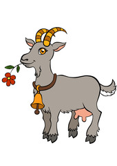 Cartoon farm animals for kids. Cute goat stands and holds flower