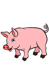 Cartoon farm animals for kids. Little cute pig stands and smiles