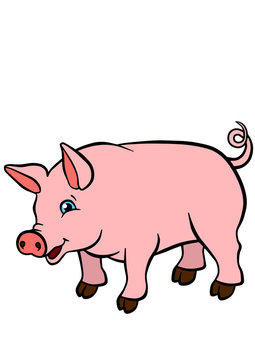 Cartoon farm animals for kids. Little cute pig stands and smiles