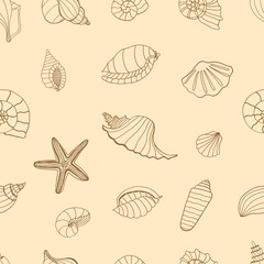 Brown Sea shells.