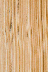 Detail of pages of an old book