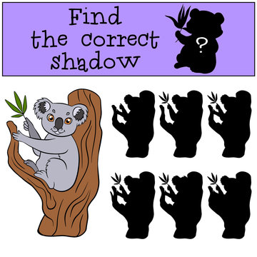 Children games: Find the correct shadow. Cute little koala sits