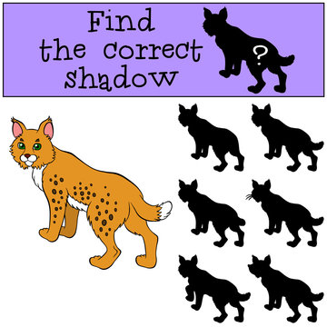 Children games: Find the correct shadow. Cute beautiful lynx sta