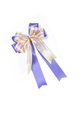 Purple ribbon bow on white