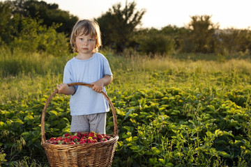 cheerful boy with basket of berries