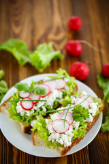 sandwich with cheese, radish and lettuce