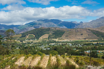 The Cape Winelands region is the premier wine producing area of South Africa
