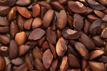 Macro closeup background texture of Organic Indian gooseberry (Phyllanthus emblica) seeds.