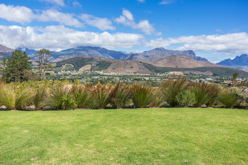 Fototapeta na wymiar The Cape Winelands region is the premier wine producing area of South Africa